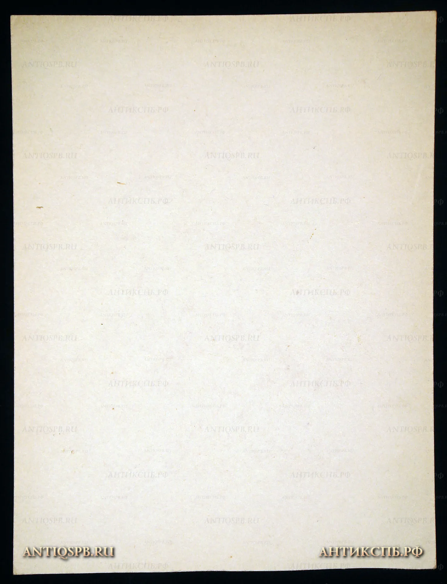 Рисунок "Этюд. Торс". Бумага, тушь. Автор: Поляков Александр Иванович (1921-1998). Вт. пол. ХХ века. СССР. №37П